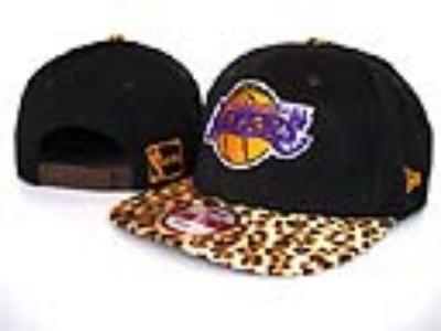 NBA hats-333